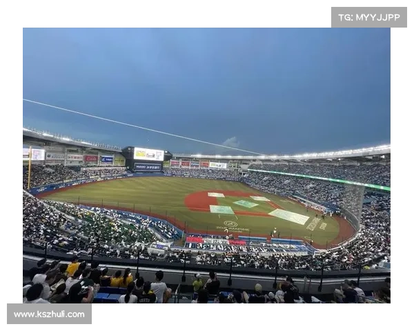 从球场激情到生活态度探索纳英戈兰与使用行为之间的深层关系 从球场激情到生活态度探索纳英戈兰与使用行为之间的深层关系