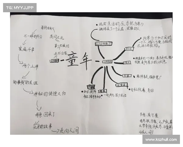 奥利塞成长历程与人生启示的深度剖析与思考